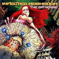 Дискография Infected Mushroom / Infected Mushroom  Discography